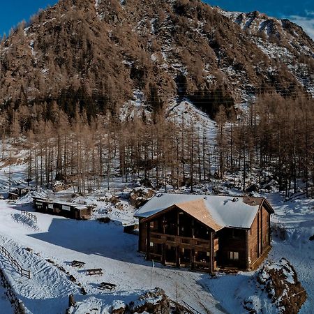 Chalet Rosa Dei Monti Piamprato المظهر الخارجي الصورة