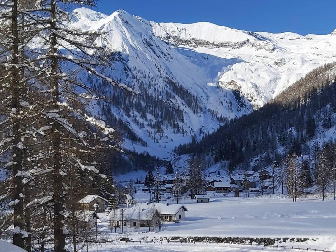 Chalet Rosa Dei Monti Piamprato المظهر الخارجي الصورة