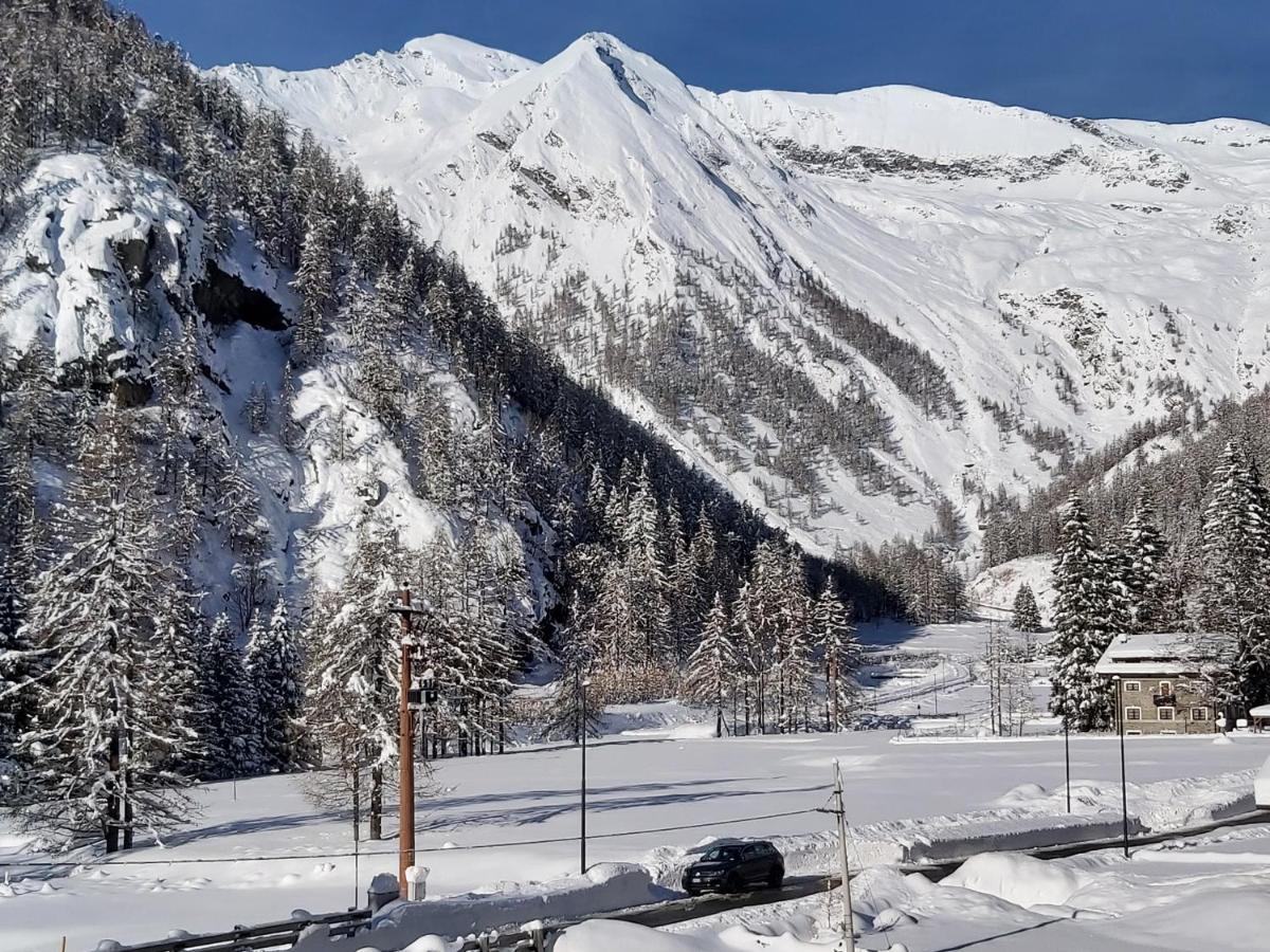 Chalet Rosa Dei Monti Piamprato المظهر الخارجي الصورة