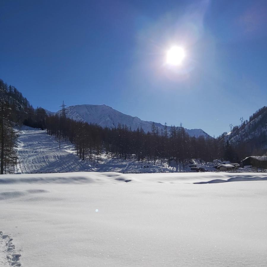 Chalet Rosa Dei Monti Piamprato المظهر الخارجي الصورة
