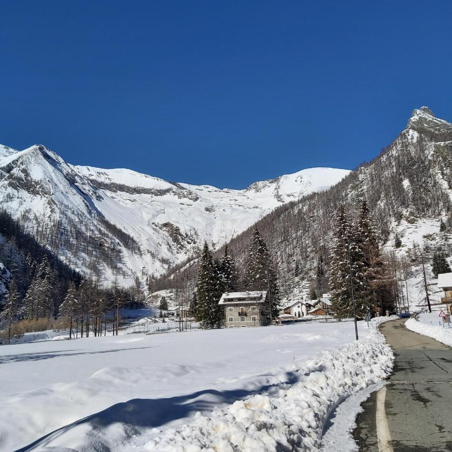 Chalet Rosa Dei Monti Piamprato المظهر الخارجي الصورة