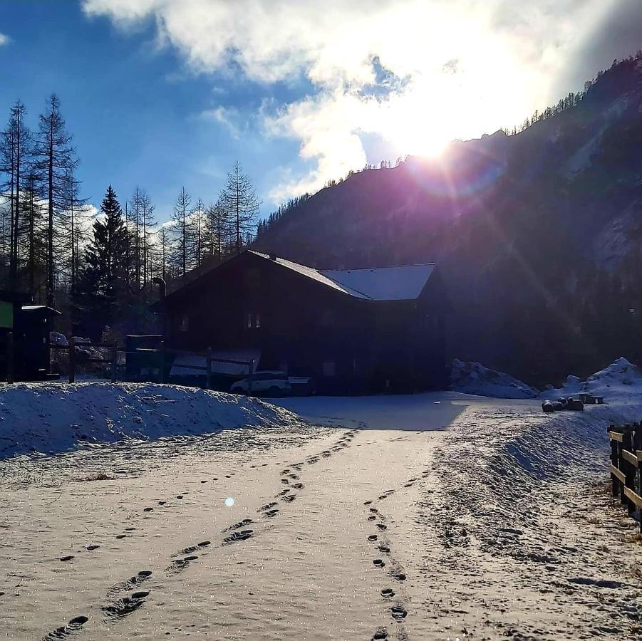 Chalet Rosa Dei Monti Piamprato المظهر الخارجي الصورة