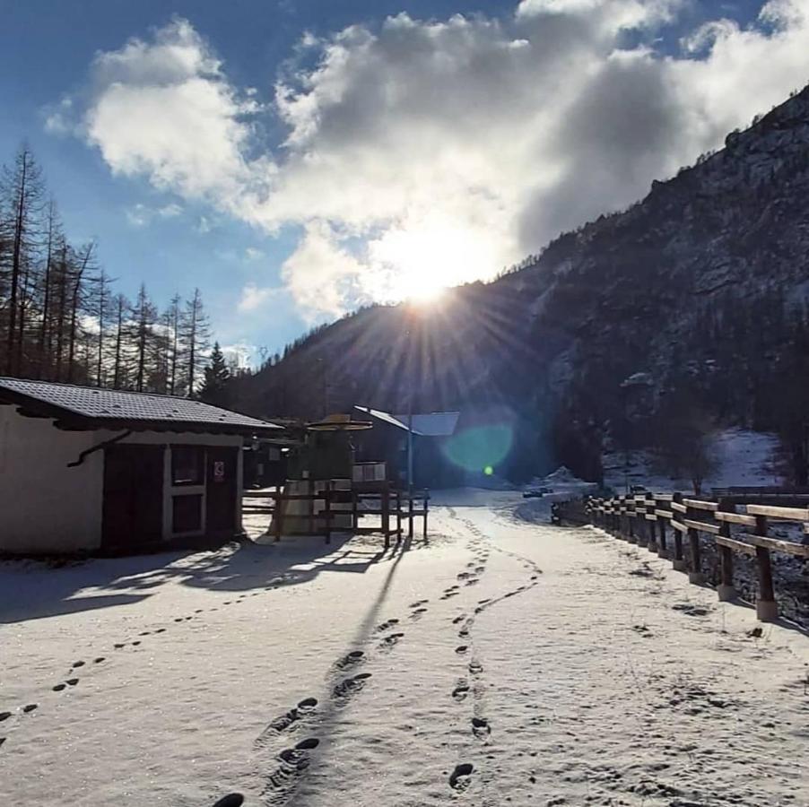 Chalet Rosa Dei Monti Piamprato المظهر الخارجي الصورة