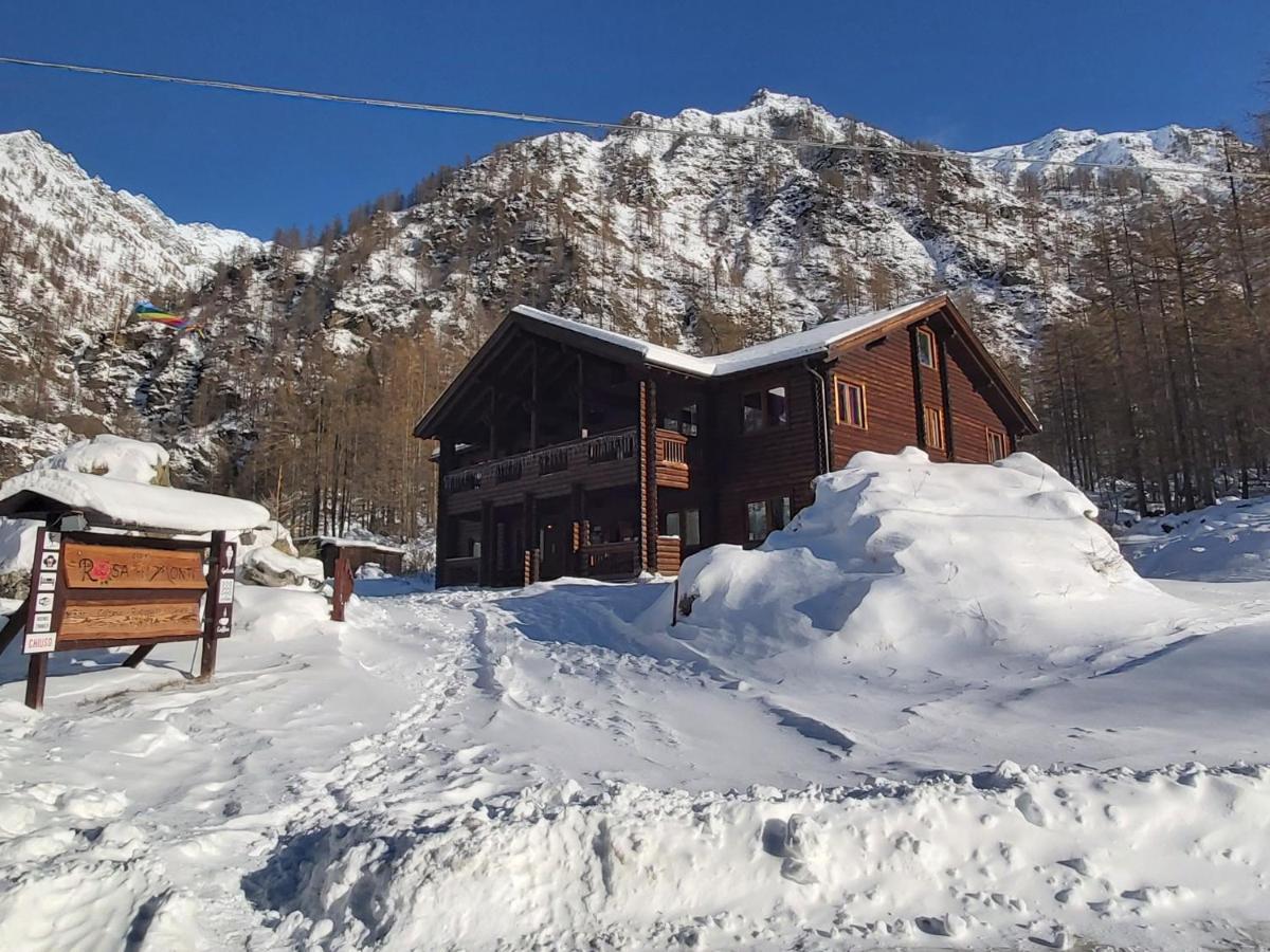 Chalet Rosa Dei Monti Piamprato المظهر الخارجي الصورة