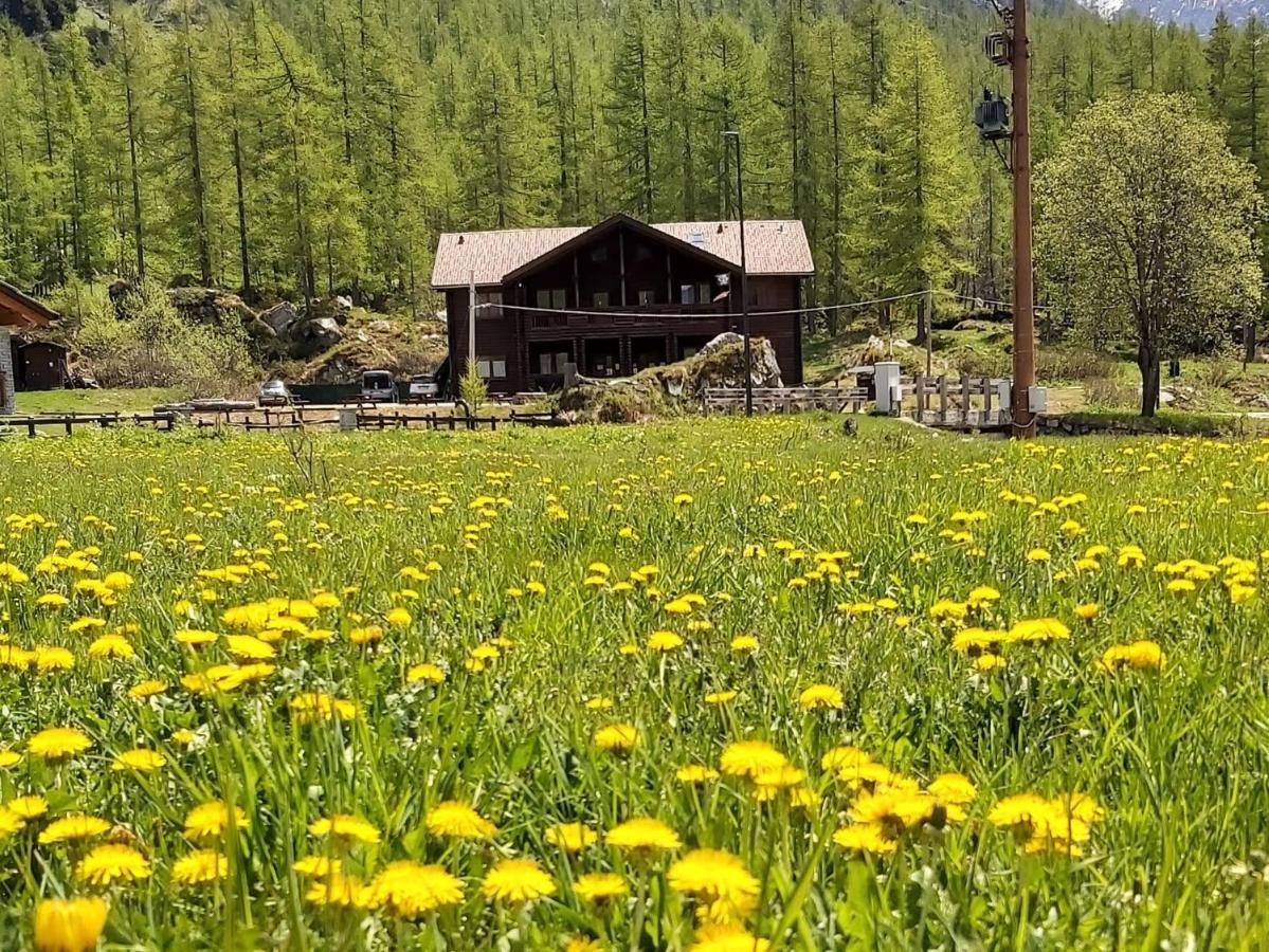 Chalet Rosa Dei Monti Piamprato المظهر الخارجي الصورة
