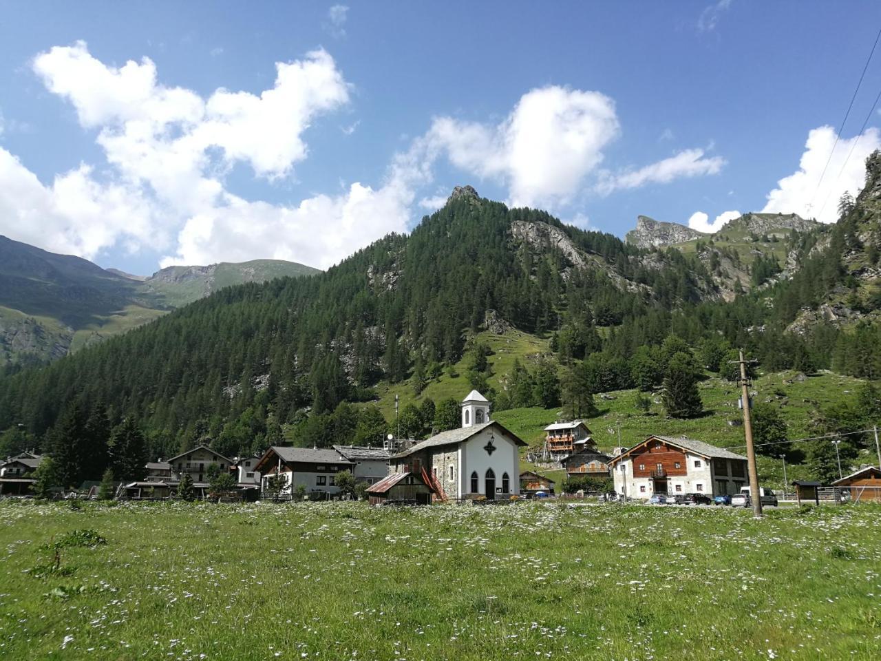 Chalet Rosa Dei Monti Piamprato المظهر الخارجي الصورة