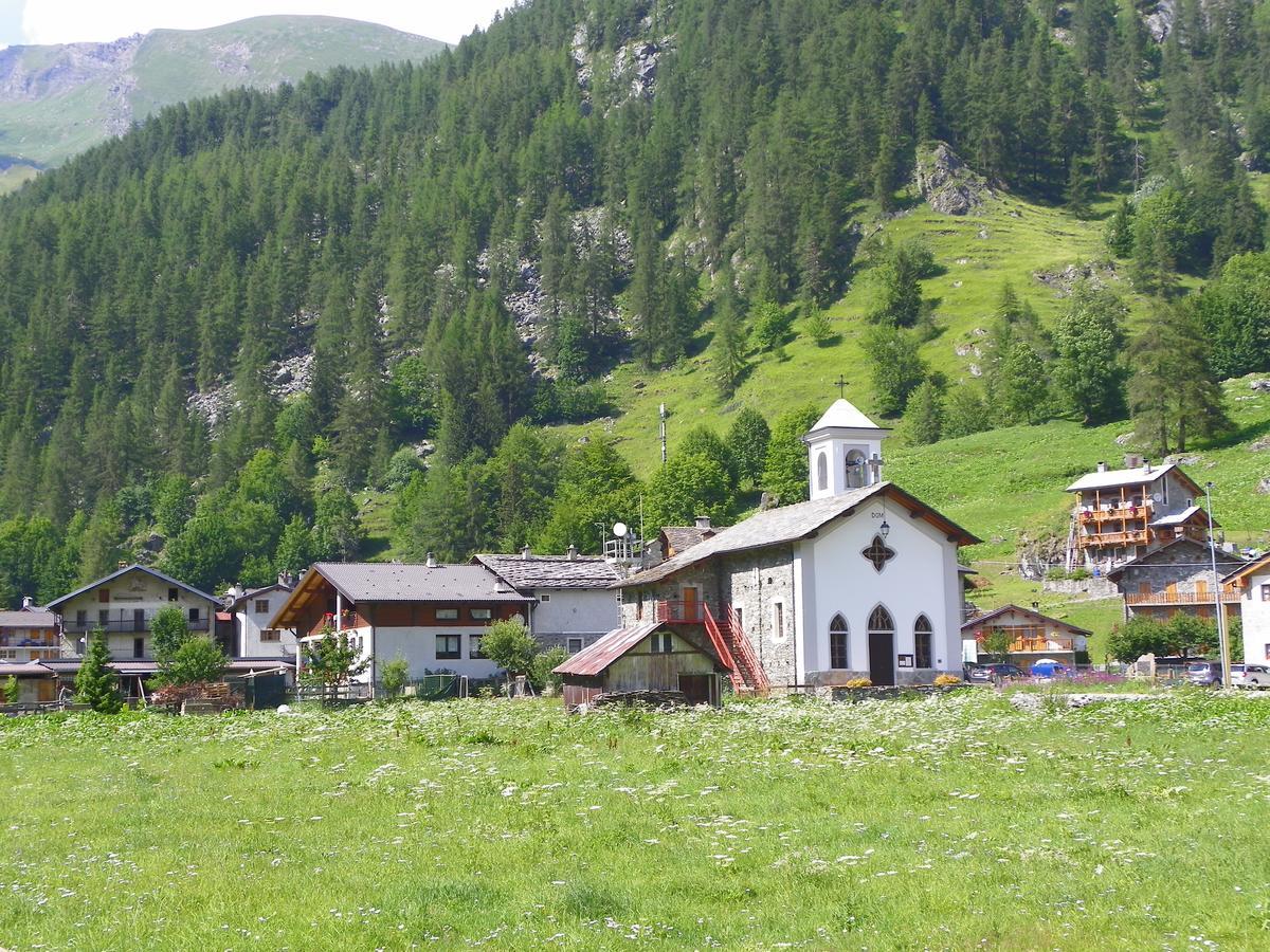 Chalet Rosa Dei Monti Piamprato المظهر الخارجي الصورة