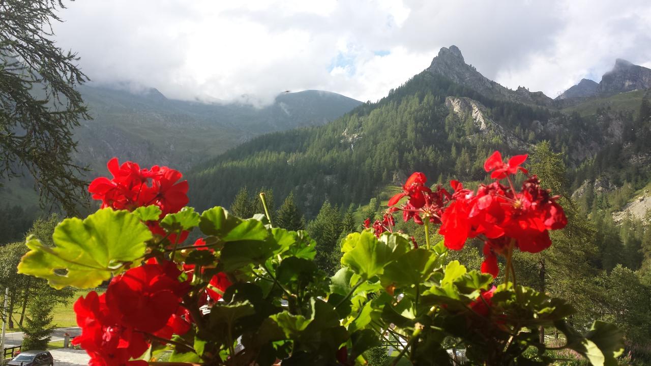 Chalet Rosa Dei Monti Piamprato المظهر الخارجي الصورة