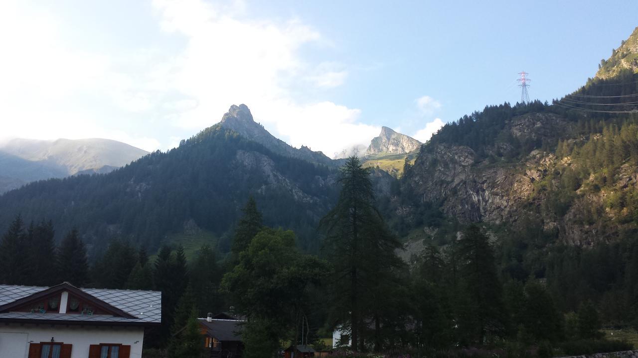 Chalet Rosa Dei Monti Piamprato المظهر الخارجي الصورة