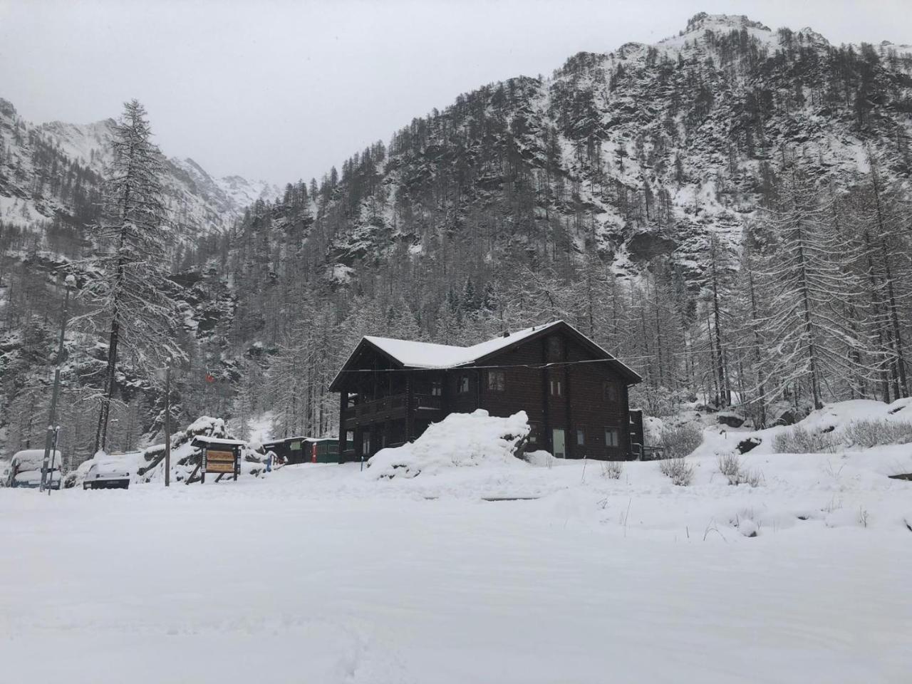 Chalet Rosa Dei Monti Piamprato المظهر الخارجي الصورة