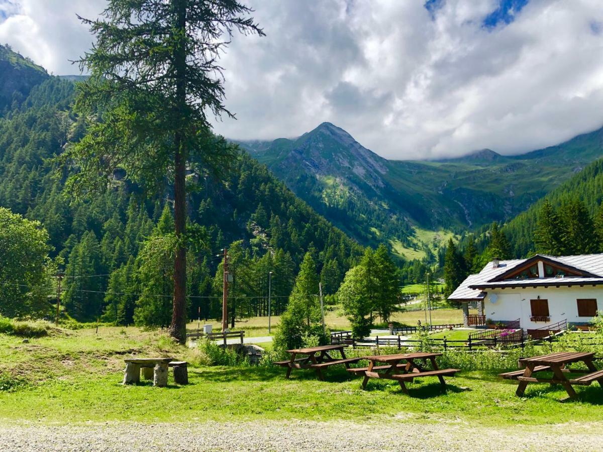 Chalet Rosa Dei Monti Piamprato المظهر الخارجي الصورة